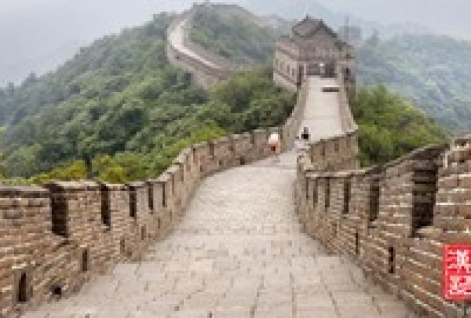 Instructor 12 course thumbnail