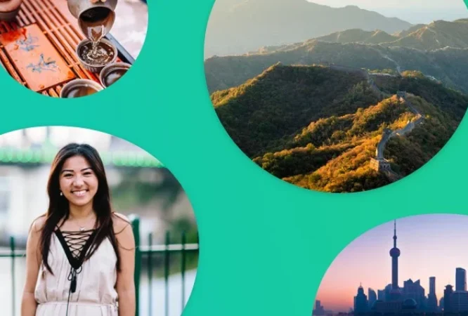 Instructor 6 course thumbnail