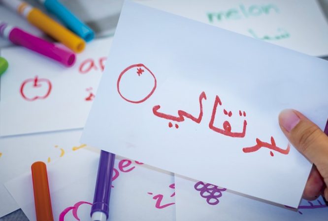 Instructor 24 course thumbnail