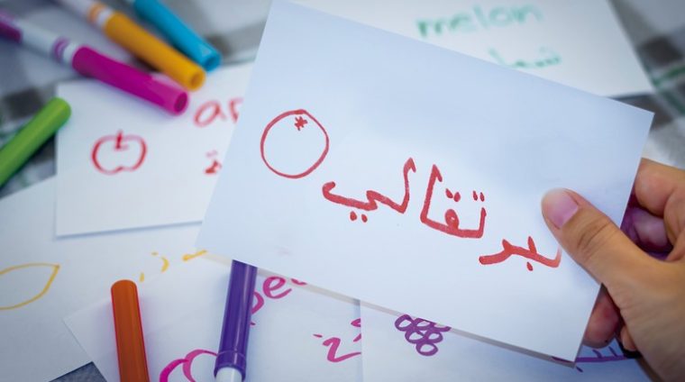 Learn 500 Arabic Words with Flashcards + Grammar Essentials