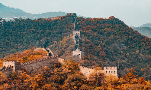 Instructor 39 course thumbnail