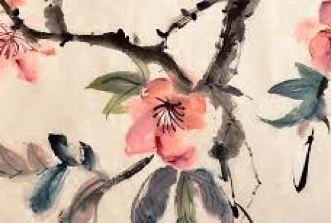 Instructor 45 course thumbnail