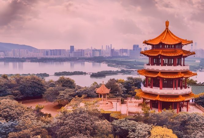 Instructor 24 course thumbnail